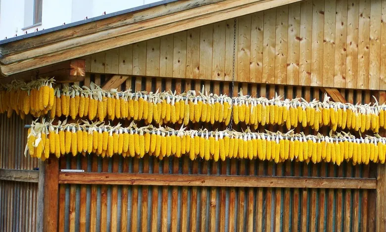 fpo corn