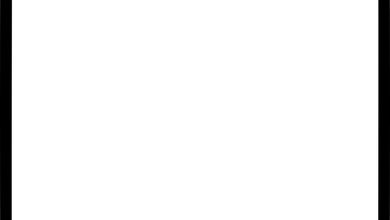 vpnlessborders.com que es