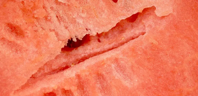 fixit transformers eating watermelon