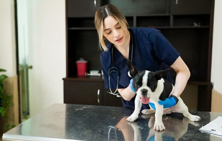 dr millar veterinarian tucson