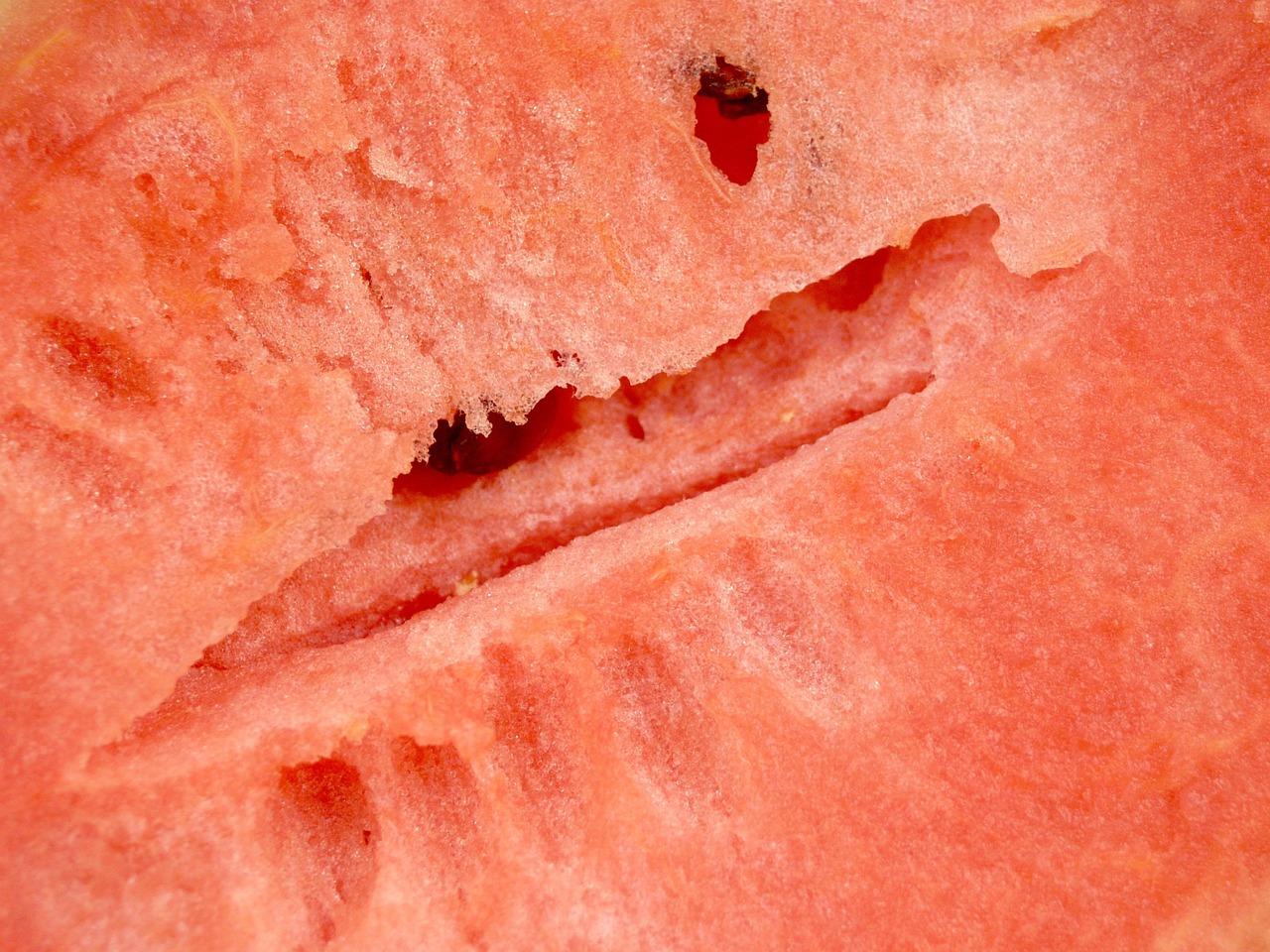 fixit transformers eating watermelon