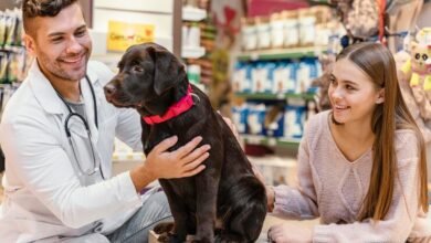 animal hospital near me