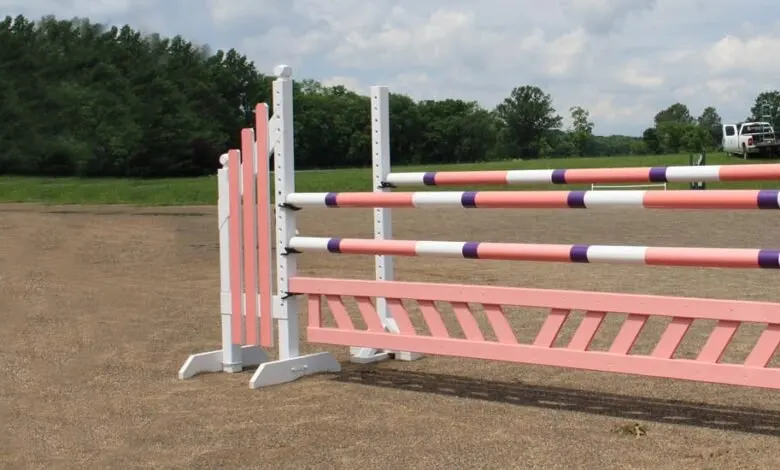 horse jumps